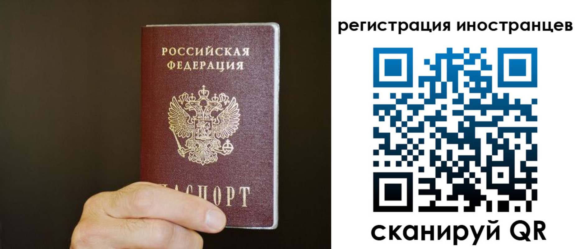 прописка в Фролово